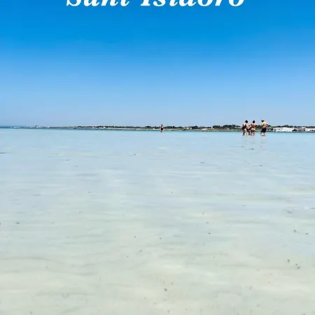 Tanza In Vetrina 2024